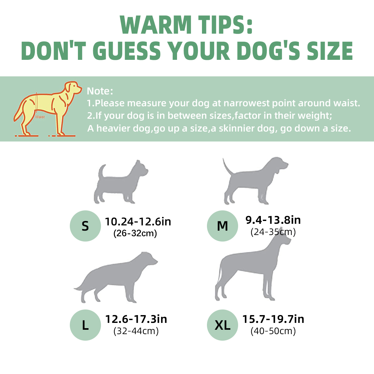 3Pcs Washable Male Dog Belly W - Diaper Pail Odor review and price