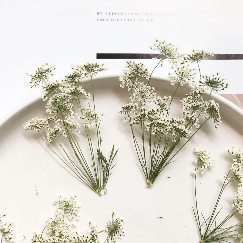 5-7cm/12pcs,Snow Tiny Flowers  - Baby Nursery Mobile review and price