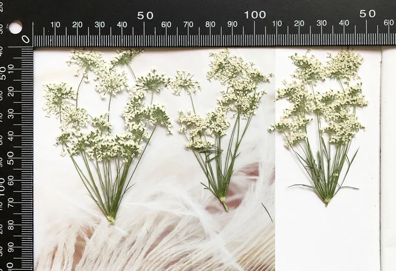 5-7cm/12pcs,Snow Tiny Flowers  - Baby Nursery Mobile review and price