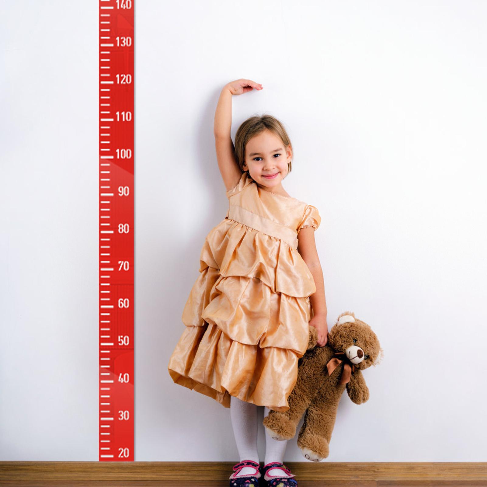 Growth Chart Wall Mirror Heigh - Growth Chart Ruler review and price